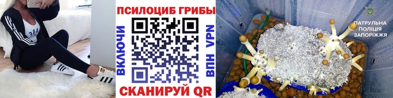 Псилоцибиновые грибы прущие грибы Поронайск